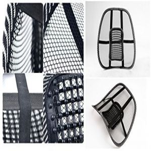 Mesh Ventilation Back Rest with Lumbar Support - Black